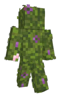Front of nobopyon's skin