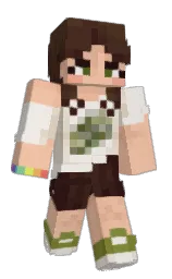 Classic Minecraft skin