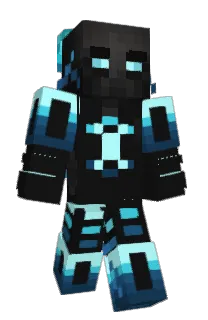 Front of Oradea's skin