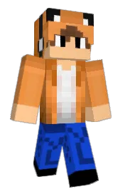 Skin preview