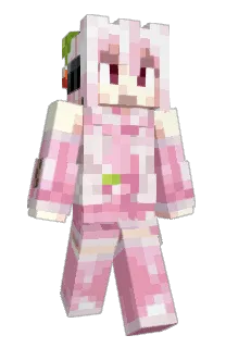 Front of ZagPatito's skin