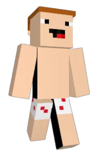 Front of BlockEduTain2's skin