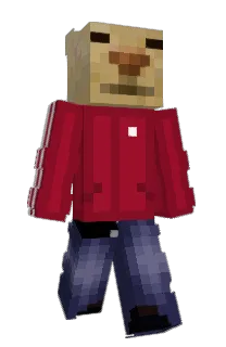 RAYZz67's Minecraft skin