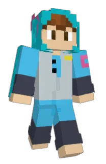 Front of Hermeeet's skin