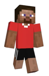 Front of viiky's skin