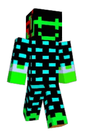 Skin preview