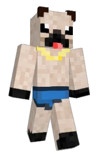 Front of Chatagod's skin