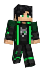 Skin preview