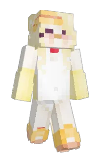 Front of t1m9's skin
