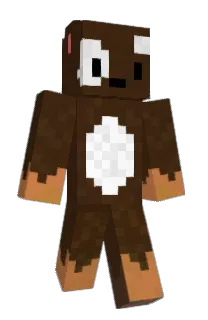Front of Minecraft skin