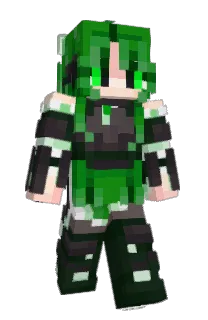 Front of Mr_Elkcip's skin