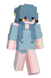 Skin preview