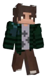Minecraft skin — Classic model