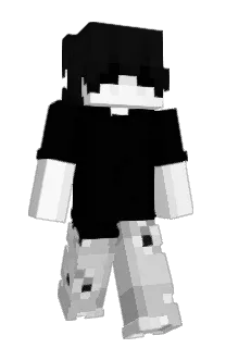 Front of 8161's skin