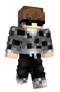 Front of MrIcepack's skin