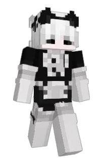Front of VLZP's skin