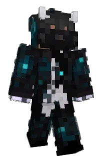 Front of Fireleo512's skin