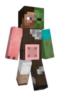 Front of gimidat's skin