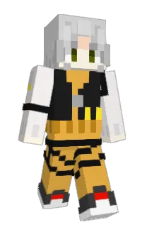 Front of S11PY's skin