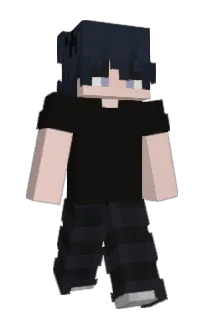 Front of naswaii's skin
