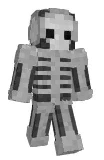 Front of Bkash112934's skin
