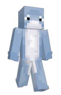 Front of BathwaterDolphin's skin