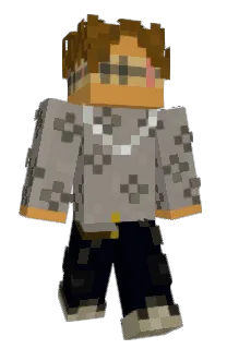 Front of FlxpIgc's skin