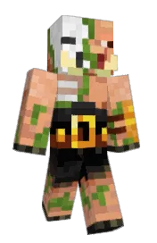 Skin preview