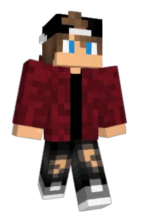 Wendi60's Minecraft skin