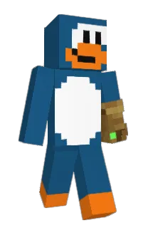 Front of ketcch's skin