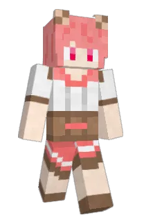 Front of Minecraft skin