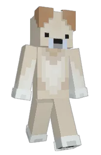 Front of niralis's skin