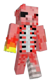 Front of PigLogic's skin