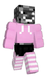 chantilly and black Minecraft skin — Classic model — first worn by brugerblunu