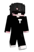 Fighter_T