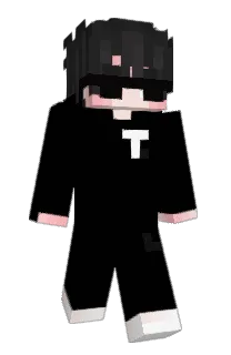 Front of Fighter_T's skin