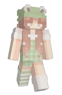Front of Minecraft skin