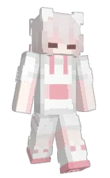 Minecraft skin — Classic model