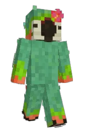 Skin preview