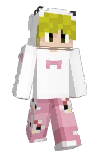 Front of 23LP's skin