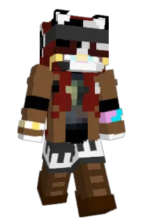 Front of paskchip's skin