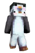 Polpetto