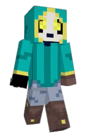 Skin preview
