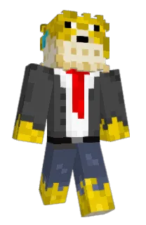 Front of Insteal's skin