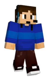 Front of ICNIV's skin