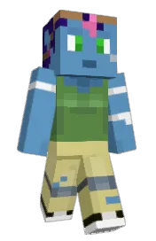 Skin preview