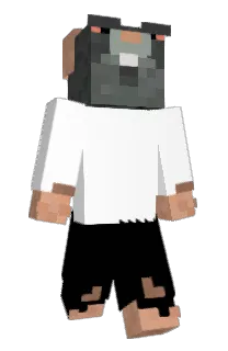 Zivwy's Minecraft skin