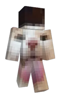 Front of TrustyTony's skin