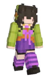Skin preview