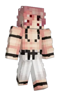 Naiplays's Minecraft skin